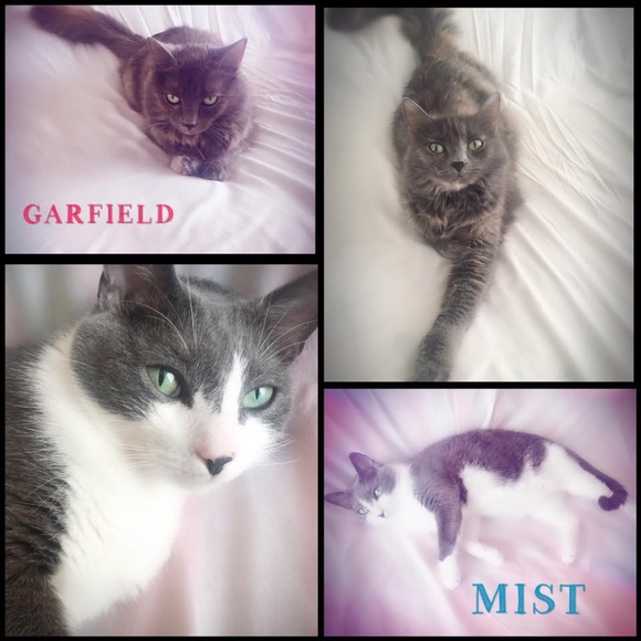 Meet your Posher, Leslyn “ Garmist Dream Store”. - Picture 1 of 7